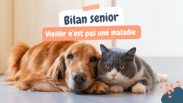 Bilan sénior — Vieillir n'est pas une maladie