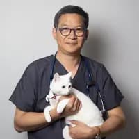 Dr Doan Tran