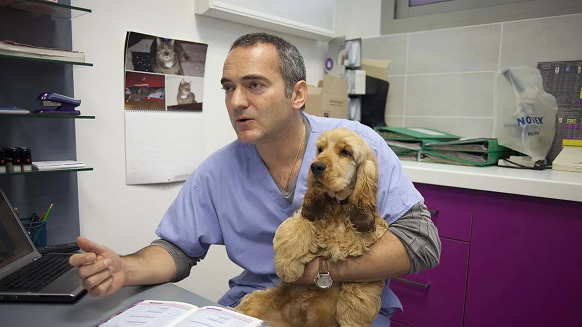 Clinique Vétérinaire Nogent-sur-Marne