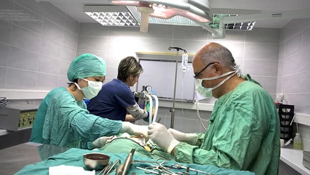 Chirurgie