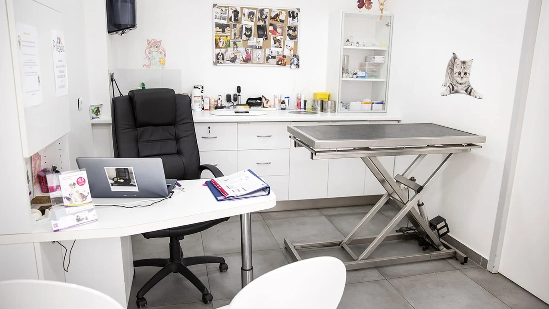 Nos services vétérinaires